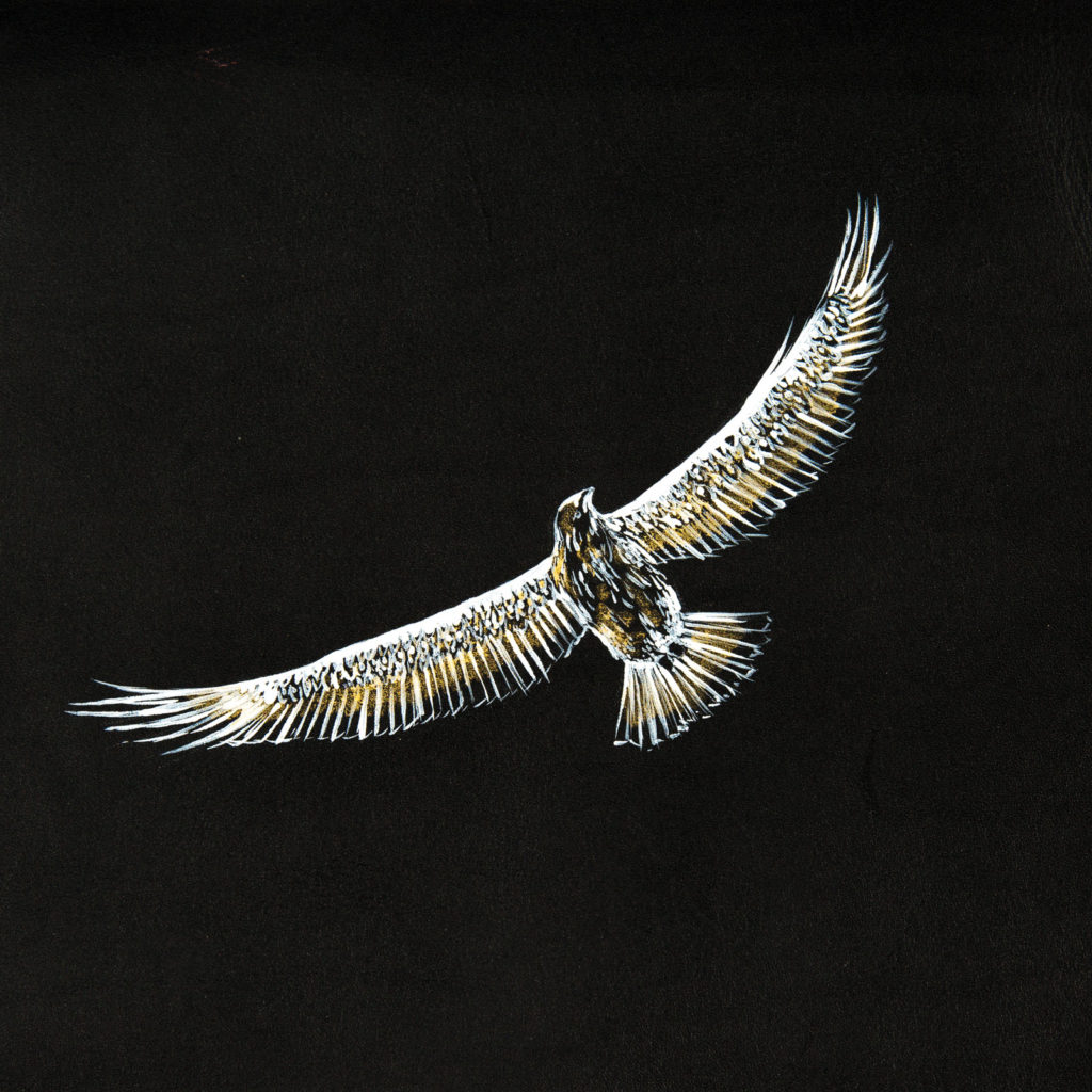 Dessin d'aigle blanc, noir et or